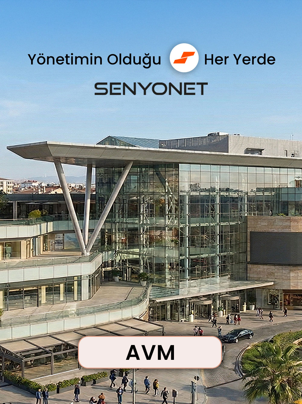 avm