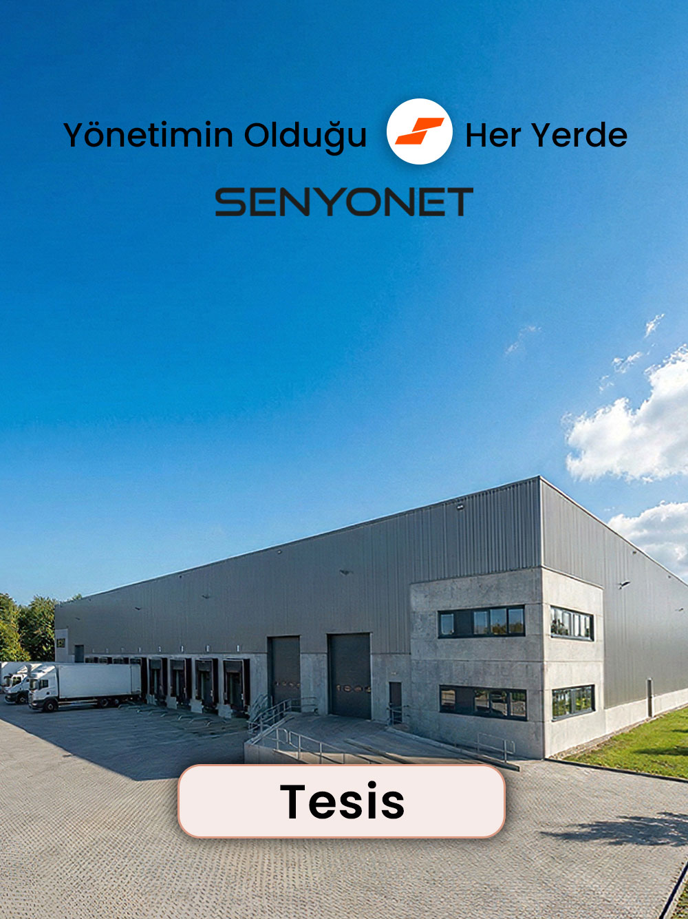 tesis